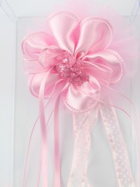 Immagine coccarda nascita sopraculla pois e strass