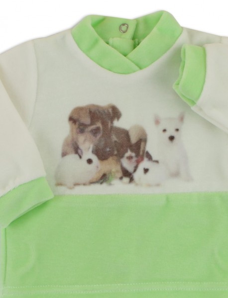 tutina completo teneri cuccioli  2