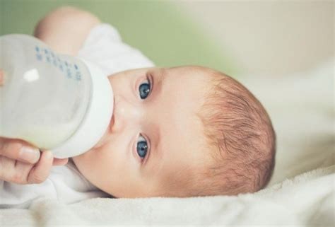 Latte d'asina per i neonati prematuri e con intolleranze