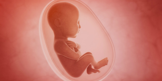 Come vivere i 9 mesi di gravidanza