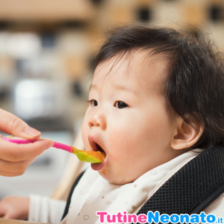 Svezzamento a 4 mesi sconsigliato dall OMS