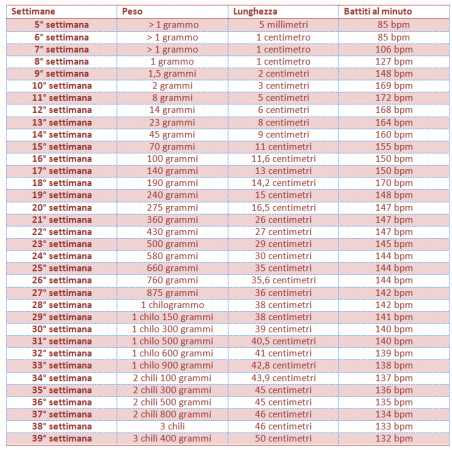 calcolo peso del feto